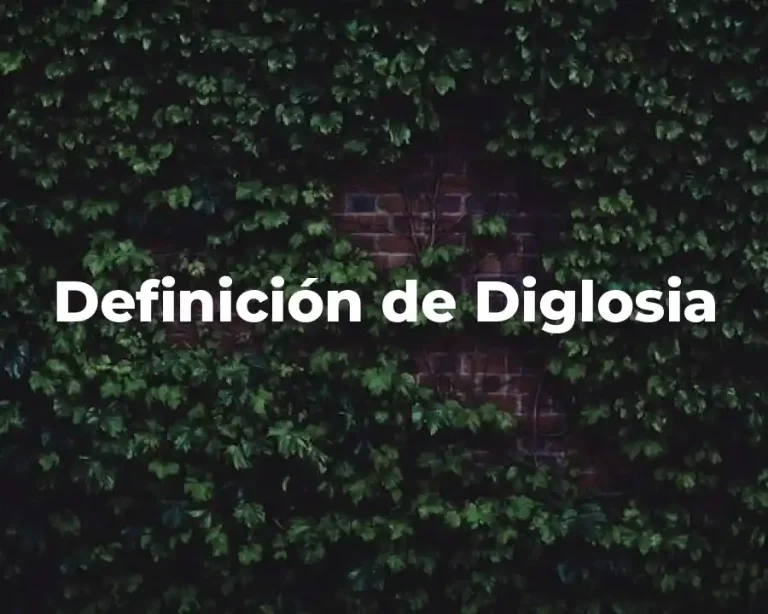 Definición de Diglosia