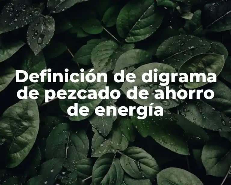 Definición de digrama de pezcado de ahorro de energía