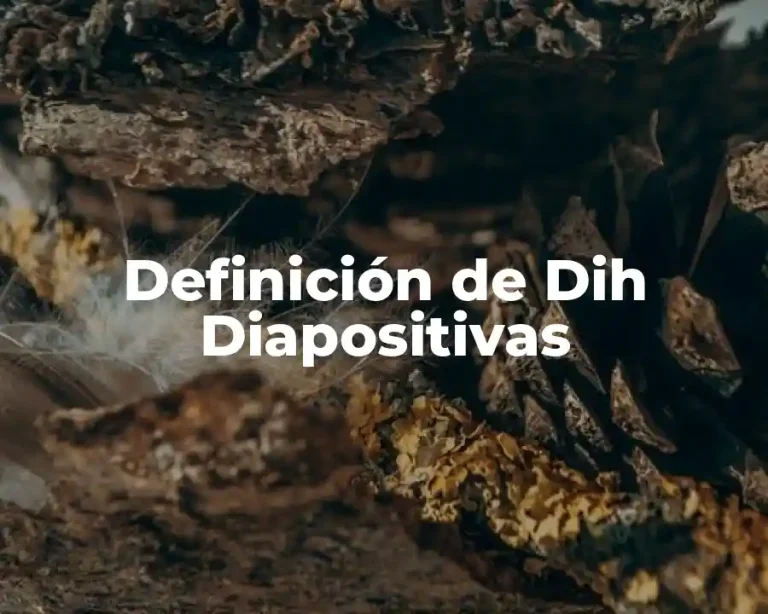 Definición de Dih Diapositivas