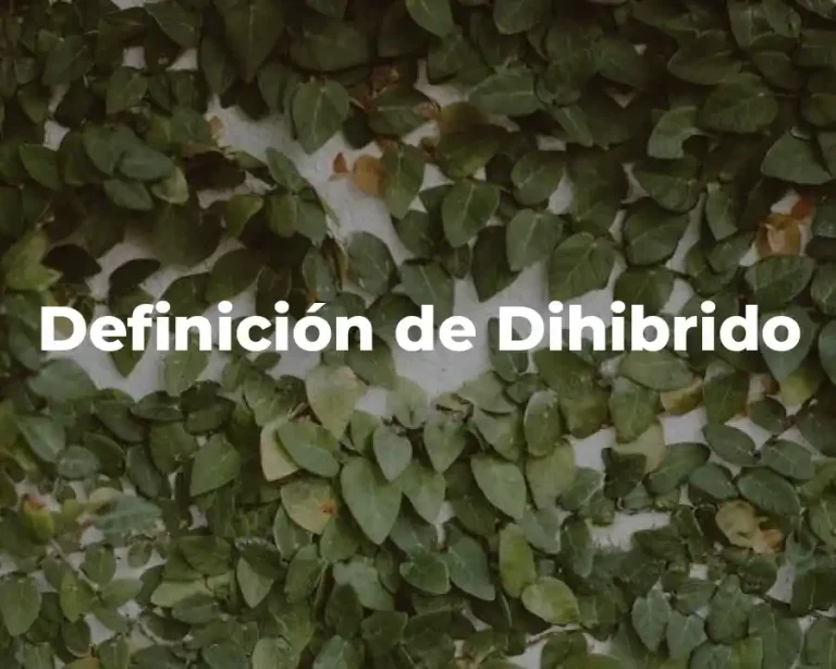 Definición de Dihibrido