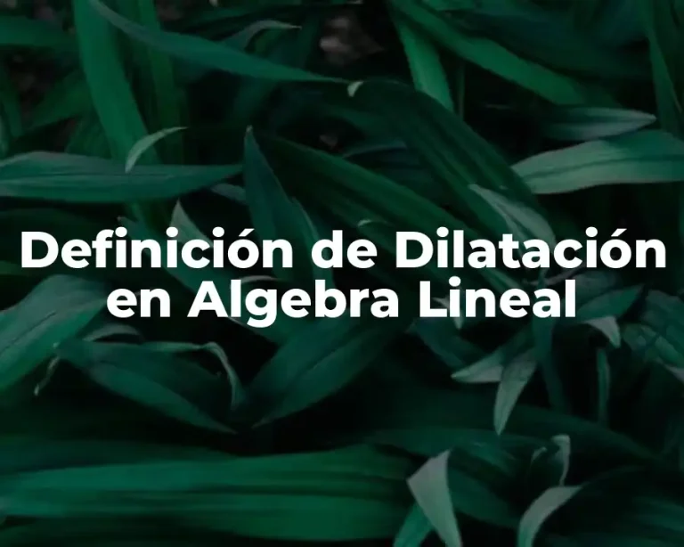 Definición de Dilatación en Algebra Lineal