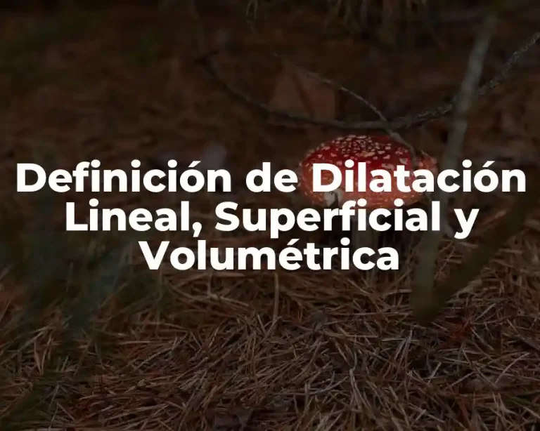 Definición de Dilatación Lineal, Superficial y Volumétrica