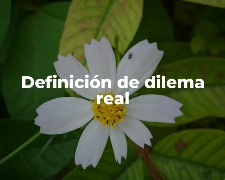 Definición de dilema real