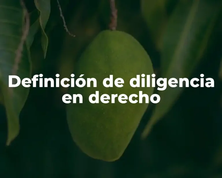 Definición de diligencia en derecho