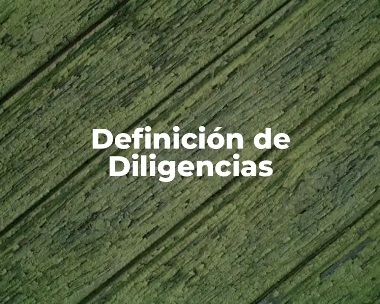 Definición de Diligencias