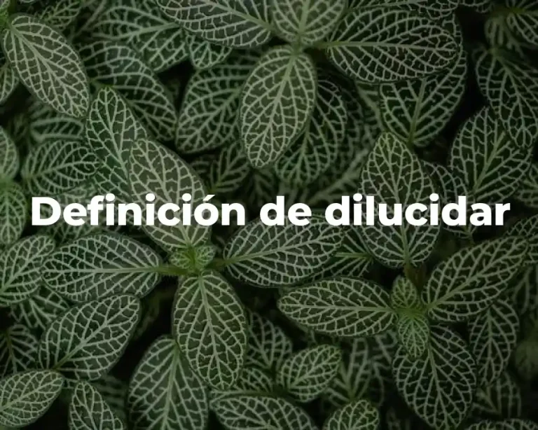 Definición de dilucidar