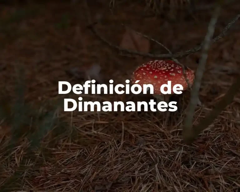 Definición de Dimanantes
