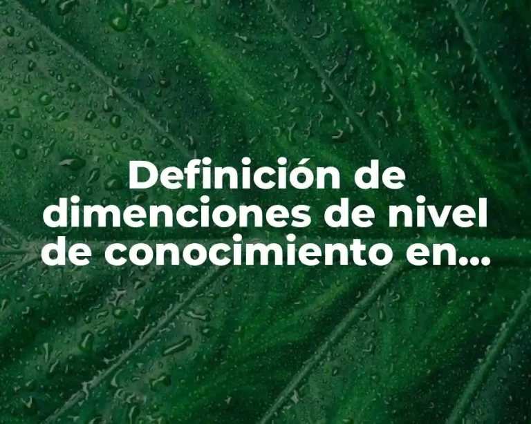 Definición de dimenciones de nivel de conocimiento en enfermeria