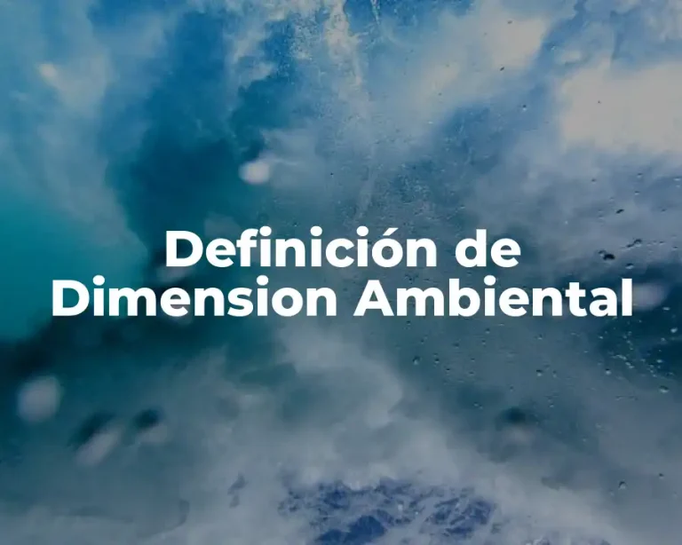 Definición de Dimension Ambiental