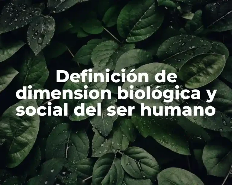 Definición de dimension biológica y social del ser humano