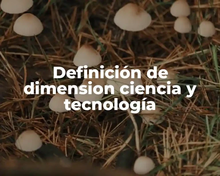Definición de dimension ciencia y tecnología
