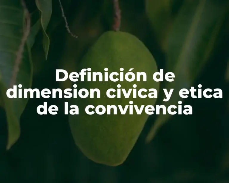 Definición de dimension civica y etica de la convivencia