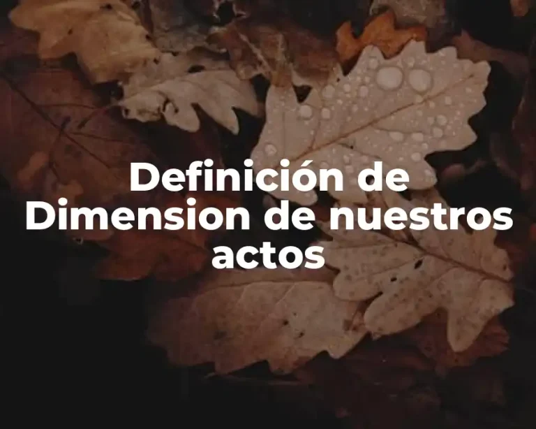 Definición de Dimension de nuestros actos
