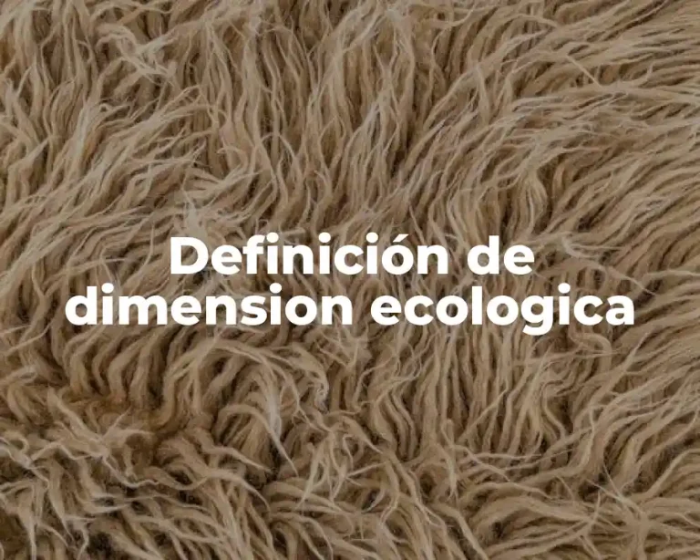 Definición de dimension ecologica