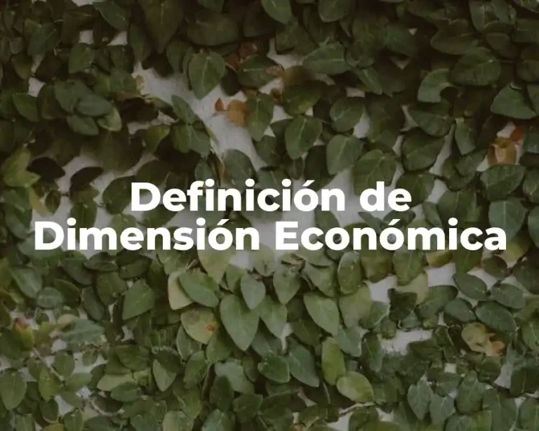 Definición de Dimensión Económica