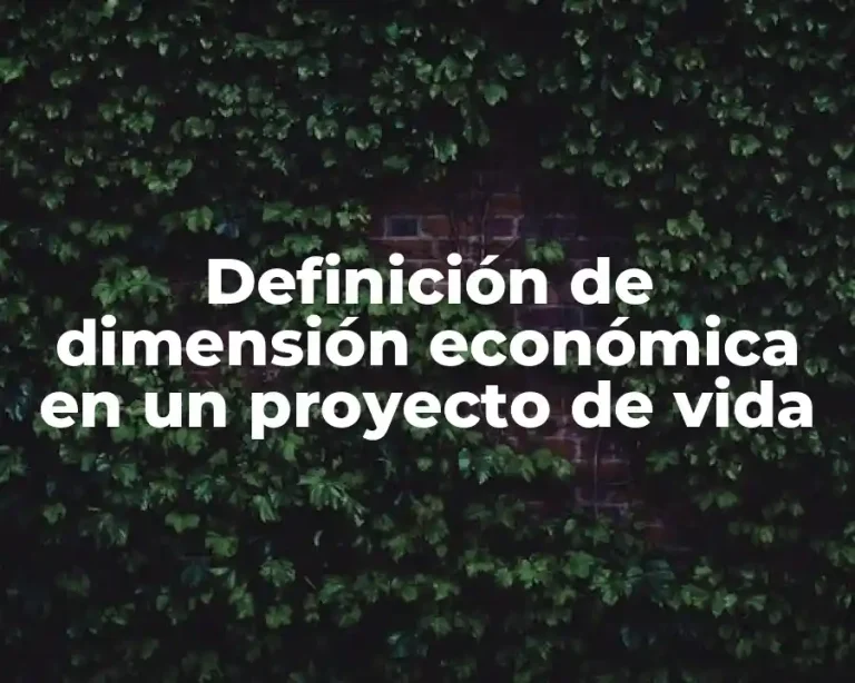 Definición de dimensión económica en un proyecto de vida