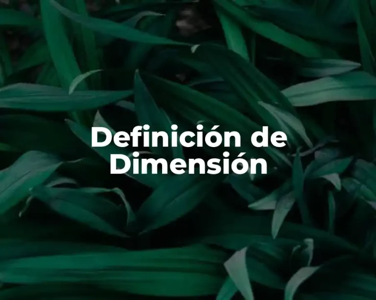 Definición de Dimensión