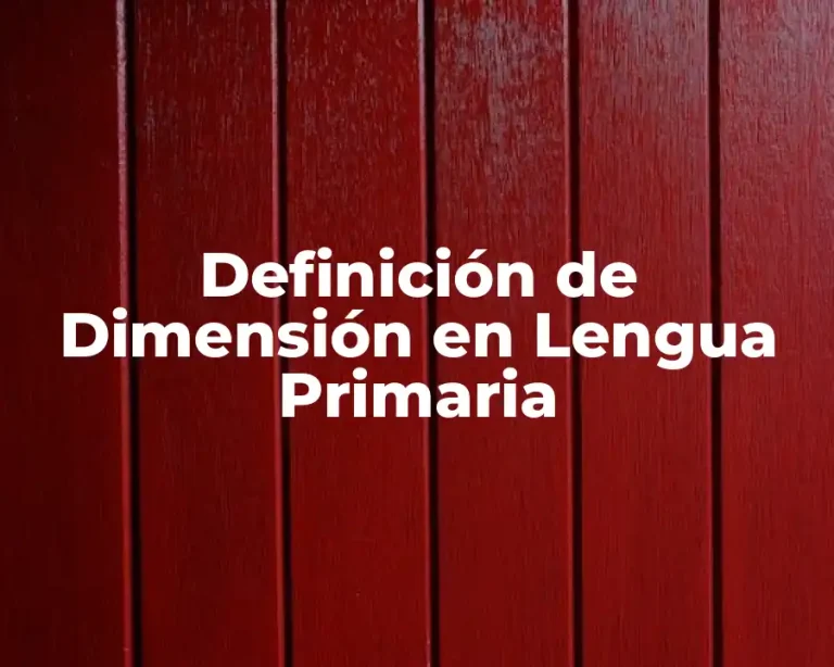 Definición de Dimensión en Lengua Primaria