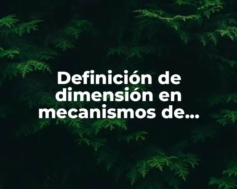 Definición de dimensión en mecanismos de transferencia