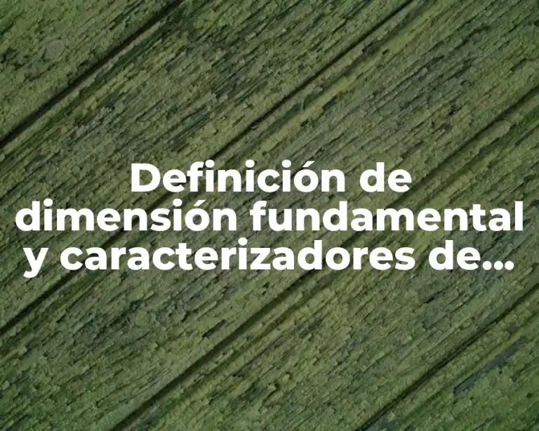 Definición de dimensión fundamental y caracterizadores de un personaje