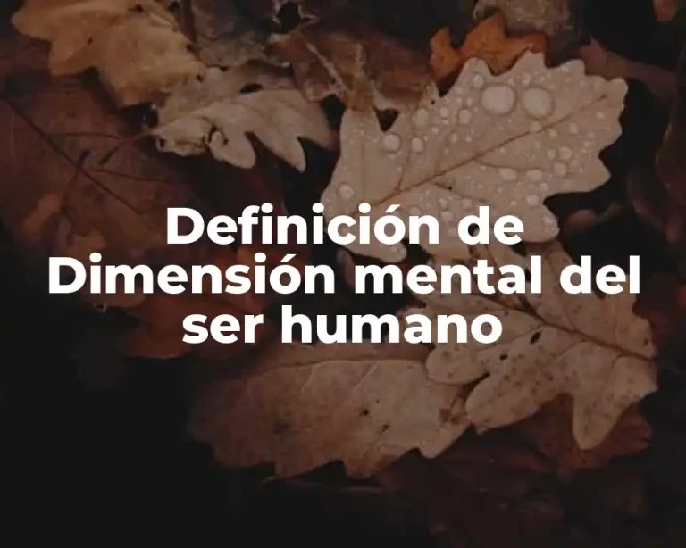Definición de Dimensión mental del ser humano