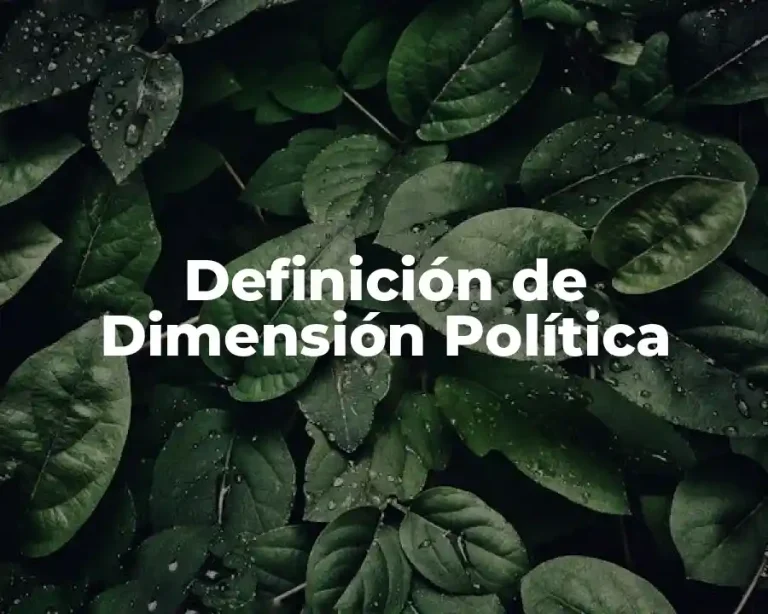Definición de Dimensión Política