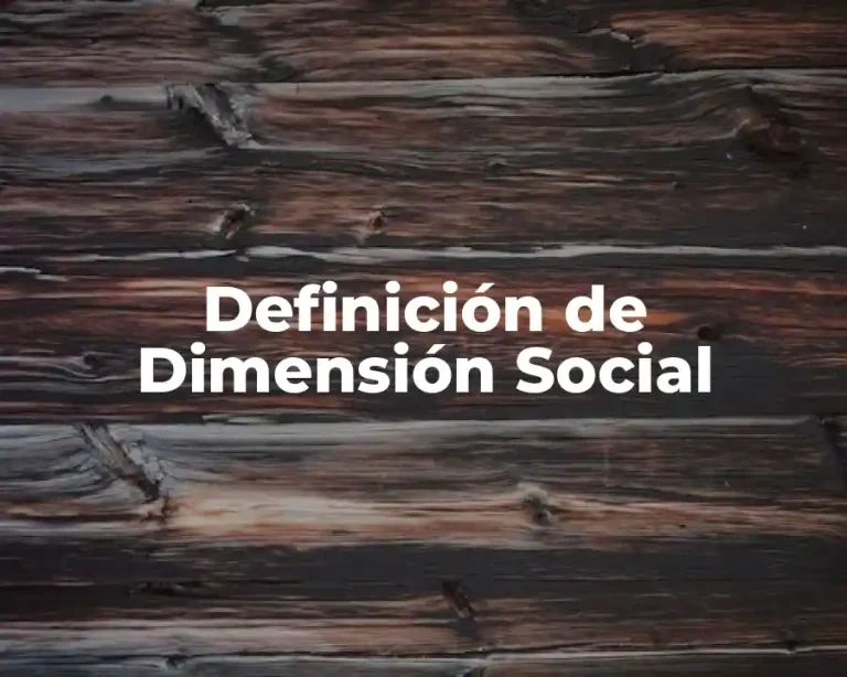 Definición de Dimensión Social