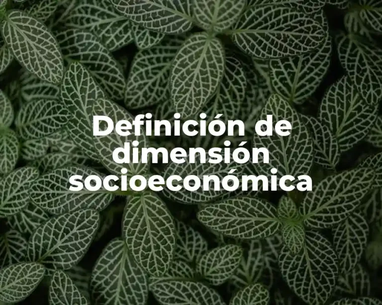 Definición de dimensión socioeconómica