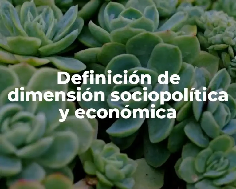 Definición de dimensión sociopolítica y económica
