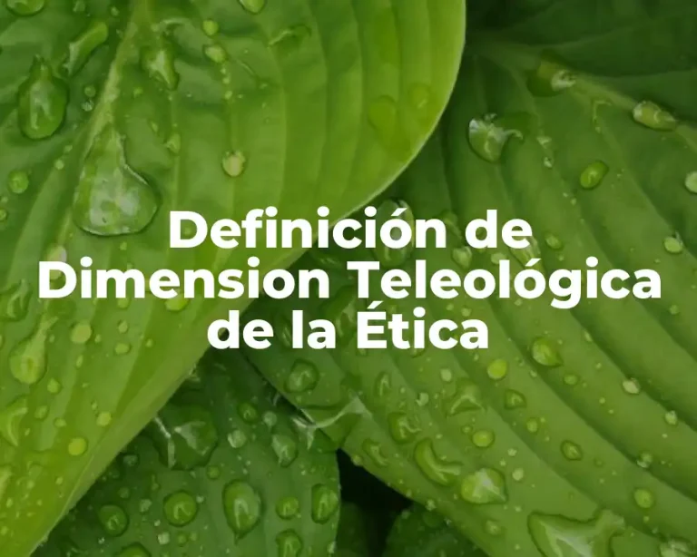 Definición de Dimension Teleológica de la Ética