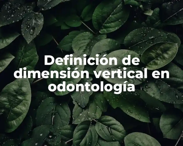 Definición de dimensión vertical en odontología