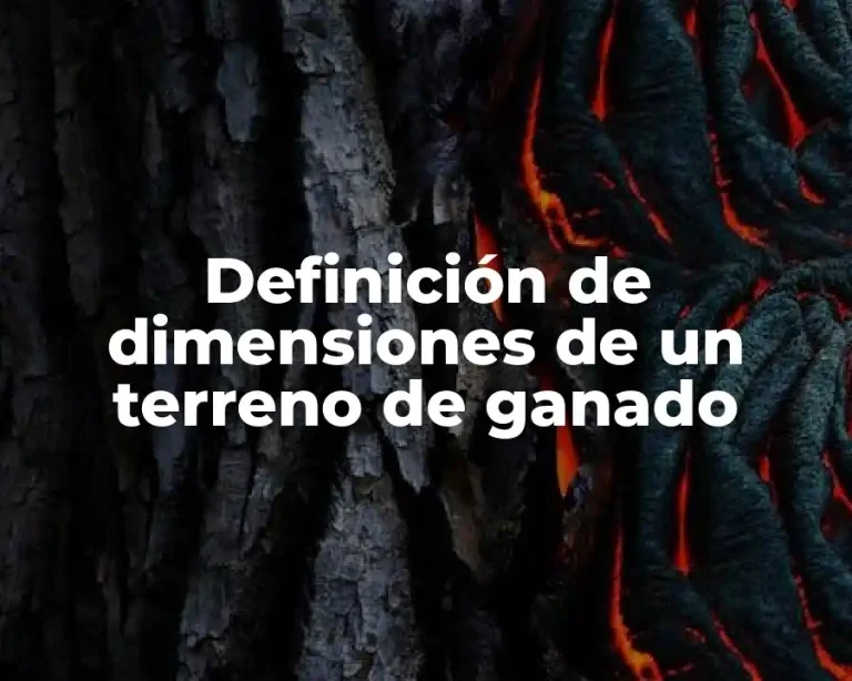 Definición de dimensiones de un terreno de ganado