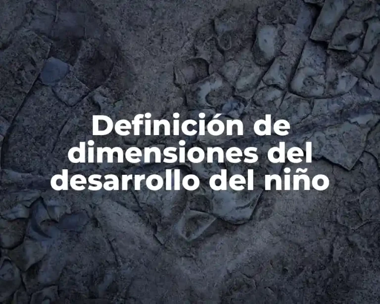 Definición de dimensiones del desarrollo del niño