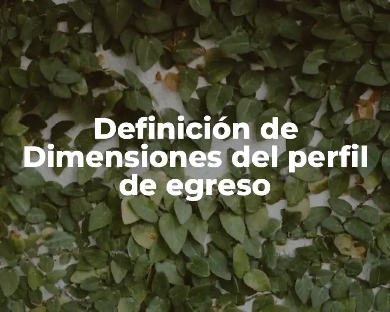 Definición de Dimensiones del perfil de egreso