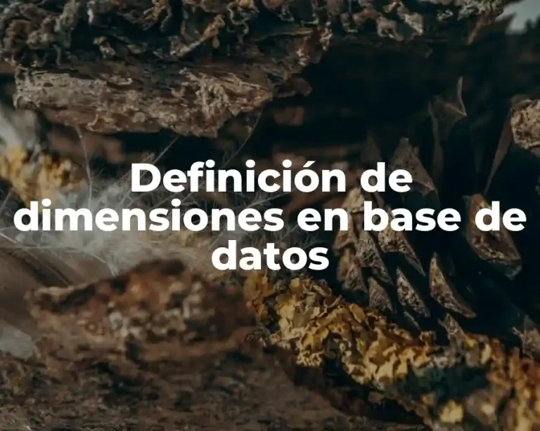 Definición de dimensiones en base de datos
