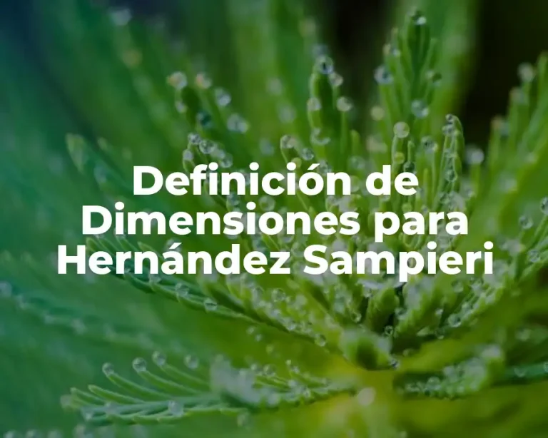 Definición de Dimensiones para Hernández Sampieri