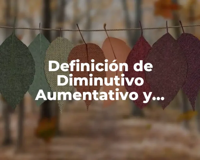 Definición de Diminutivo Aumentativo y Despectivo
