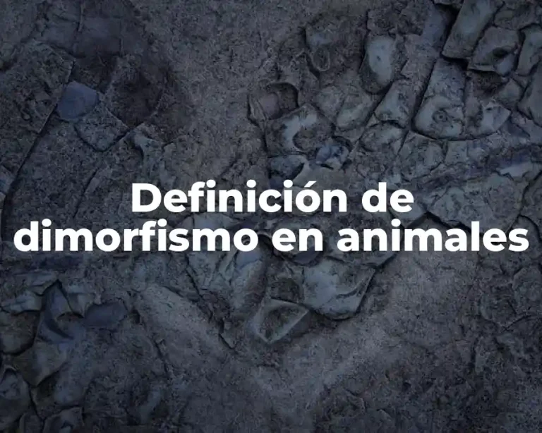 Definición de dimorfismo en animales