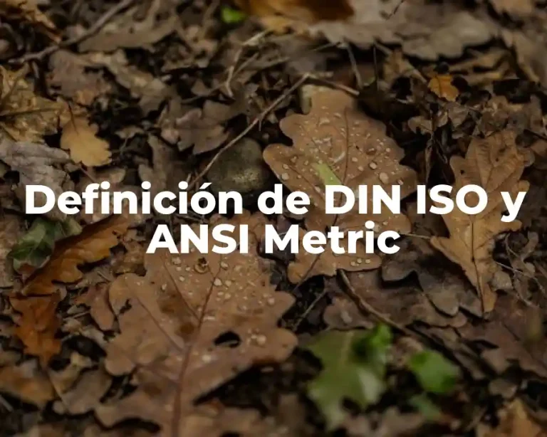 Definición de DIN ISO y ANSI Metric