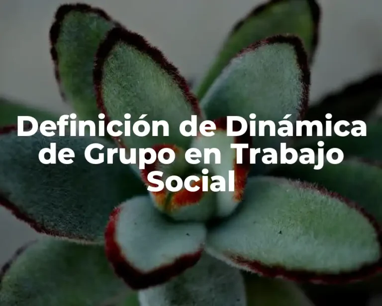 Definición de Dinámica de Grupo en Trabajo Social