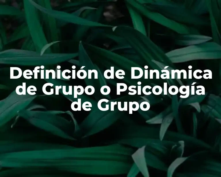 Definición de Dinámica de Grupo o Psicología de Grupo