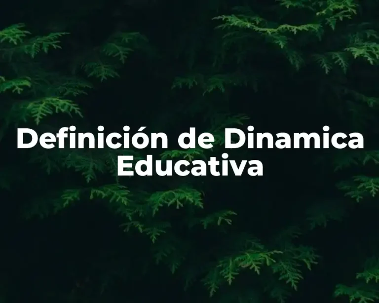 Definición de Dinamica Educativa