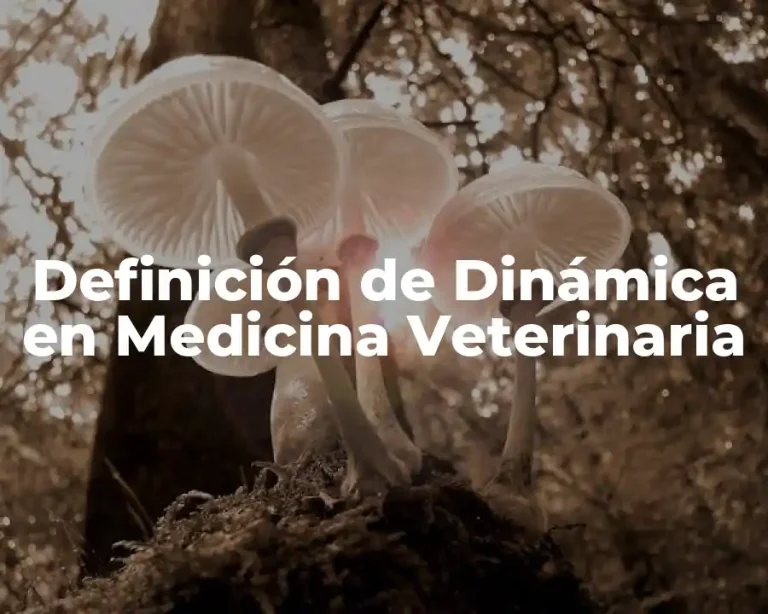 Definición de Dinámica en Medicina Veterinaria