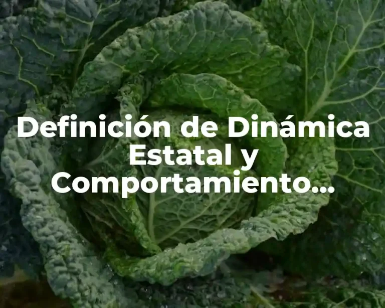 Definición de Dinámica Estatal y Comportamiento Político