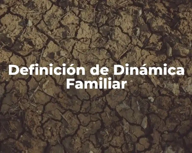 Definición de Dinámica Familiar