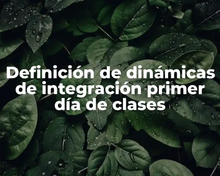 Definición de dinámicas de integración primer día de clases