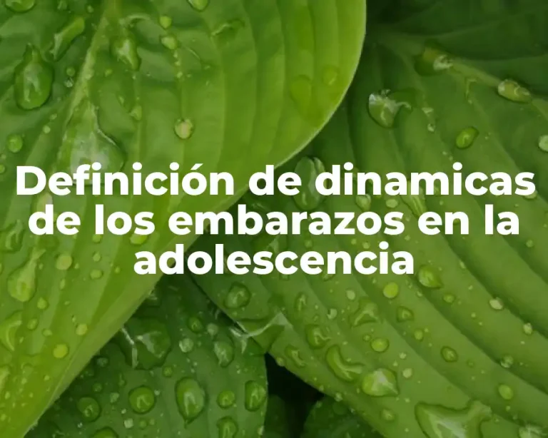 Definición de dinamicas de los embarazos en la adolescencia