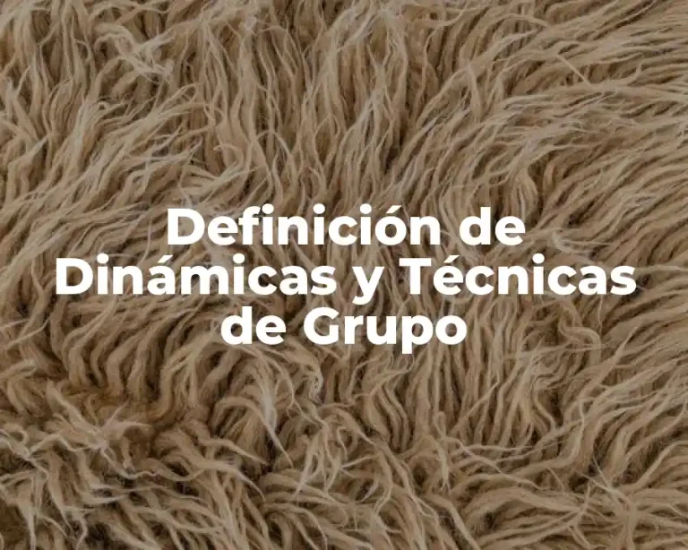Definición de Dinámicas y Técnicas de Grupo