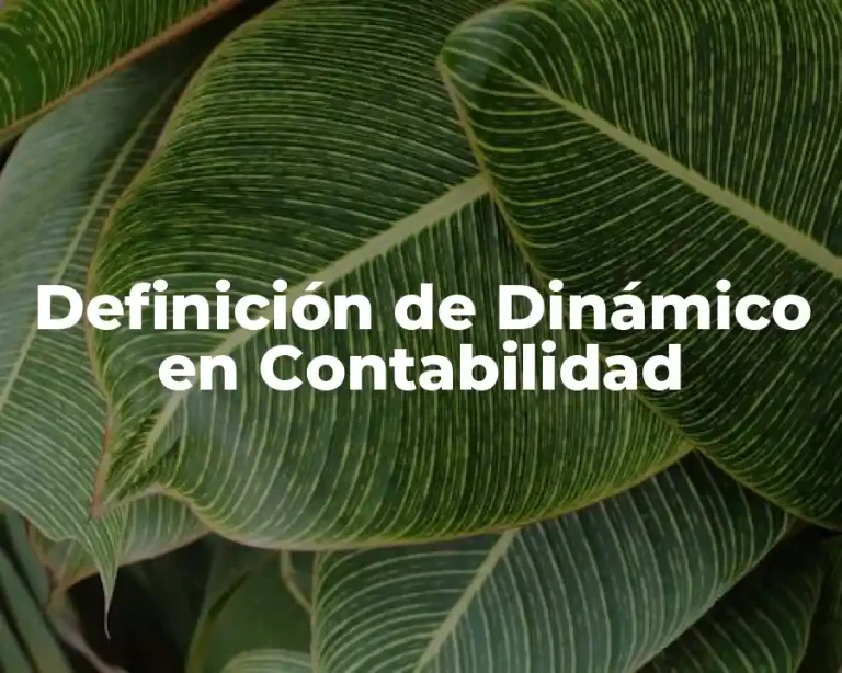 Definición de Dinámico en Contabilidad