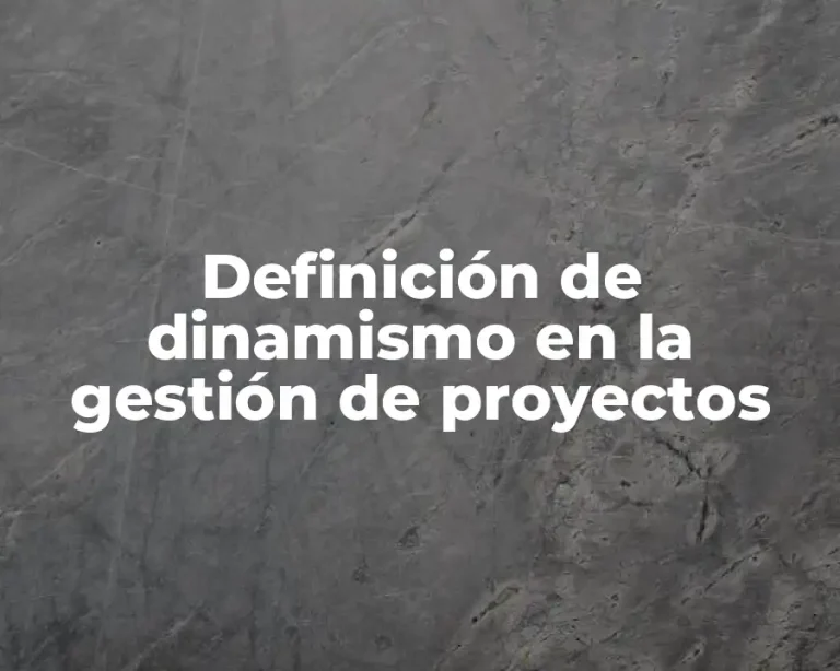 Definición de dinamismo en la gestión de proyectos